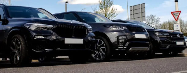 Casino Wild Jack Android/iOS-app